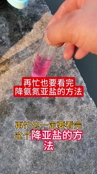再忙也要看完这套处理氨氮亚盐的方法 #鱼塘#亚盐#特种鱼养殖#水产养殖#养鱼