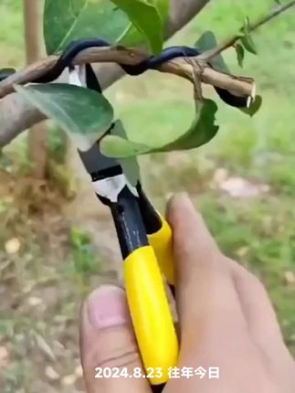 这是一把盆景水口剪喜欢盆景的爱好者怎么少得了这把盆景剪枝剪呢#盆景水口剪 #五金工具 #园林工具 #高性能实用工具 #修枝剪 …。