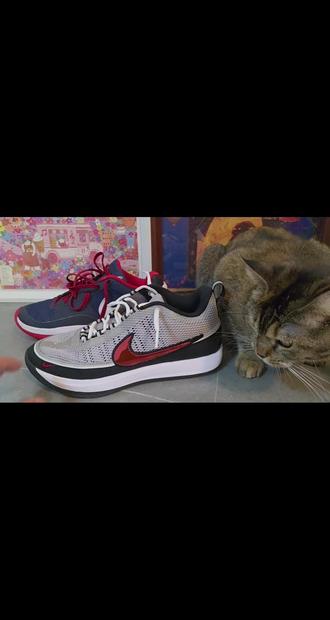 book2初测简评,Nike公式鞋,放心上强度,但脚感党、膝盖有伤需要强缓震的劝退#book2 #布克二代 #Nike #球鞋测评