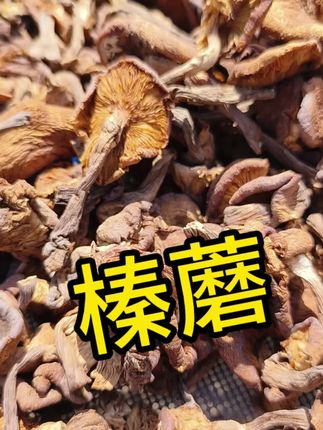小鸡炖蘑菇的蘑菇东北榛蘑 自采自晒 秋天是上山采蘑菇的季节,#东北菜小鸡炖蘑菇的蘑菇#东北榛蘑 这个蘑菇都是我们在山上一根一根采的,手工剪根,炖小鸡嘎嘎香。#我的乡村生活 #