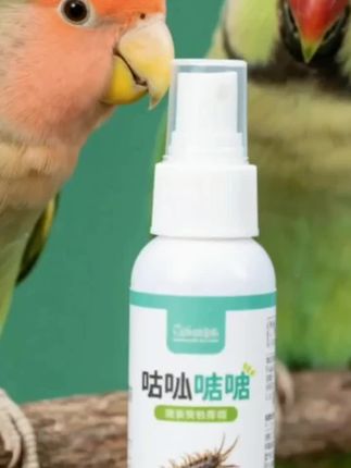 鹦鹉嘎虫喷雾物理噶虫除螨虫除羽虱温和清新舔舐无忧#鹦鹉除螨喷雾 #宠物用品 #宠物用品推荐