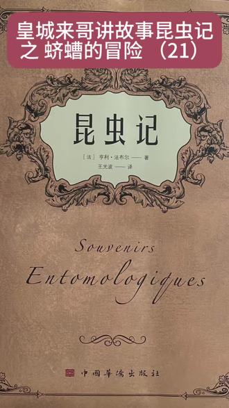 皇城来哥讲故事:昆虫记之蛴螬的冒险(21)