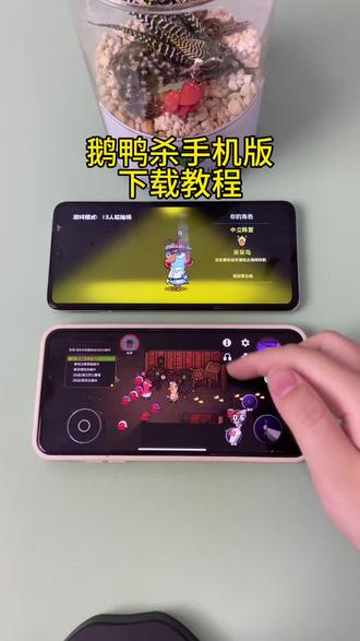 《小邦资源》鹅鸭杀手机版苹果安卓下载教程#鹅鸭杀 #鹅鸭杀有多好玩 #鹅鸭杀全员八百个心眼 #鹅鸭杀手游 #鹅鸭杀攻略