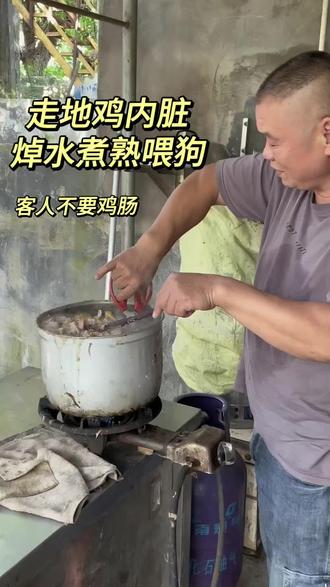 杀鸡的内脏不要丢,焯水喂狗子,看家护院辛苦咯
#抖音美食推荐官 #抖音助农 #农村生活 #农村美食 #深圳走地鸡
