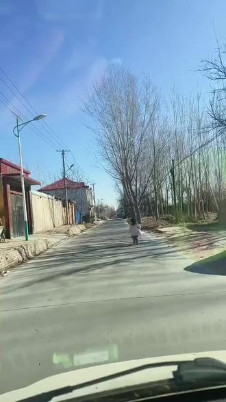 #看完不笑,算我输 最近流感太厉害了,放倒了一群人,我们是学校的台柱子,28个学生现在就剩六个了。所以锻炼的提上日程#助手抖音 #这条gai最靓的仔 #乡间的小路 #撒欢儿 @抖音创作小助手