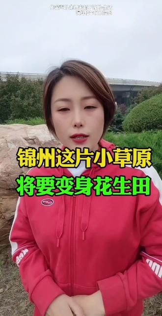锦州这片小草原将要变成花生田,快来看看变化 #锦州 #锦州同城 #锦州身边事 #锦州本地生活