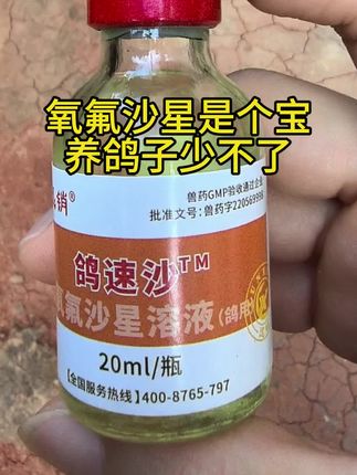 氧氟沙星是个宝,养鸽子少不了#养鸽子技巧 #赛鸽 #肉鸽养殖 #养殖