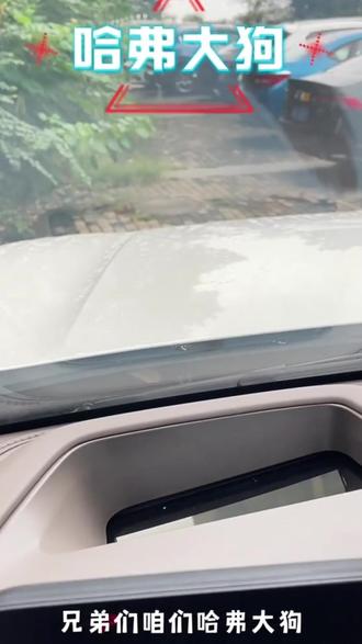 23-26哈弗二代大狗PLUS抬头显示保护罩HUD防护仪表台无损安装 #哈弗二代 #大狗PLUS #抬头显示保护罩 #HUD防护仪表台 #无损安装