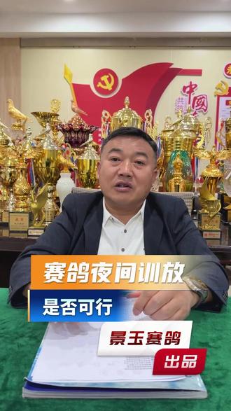 赛鸽夜间训放是否可行 赛鸽夜间训放是否可行#赛鸽 #赛鸽比赛 #信鸽 #信鸽赛鸽 #养鸽人