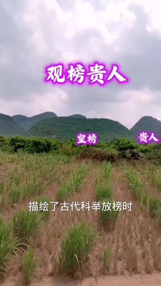 观榜贵人,皇榜上的荣耀时刻#热门 #农村生活 #原创 #山水 #抖音