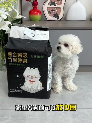 几天不换也不会臭,还能教会狗狗上厕所的训导尿垫#萌宠好物 #新手养狗 #宠物尿垫 #狗狗定点上厕所 #尿垫