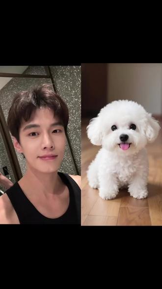 权威还得是你!和狗狗拥抢ai合照指令教程来啦!和狗狗合照#豆包ai#豆包p图已经nextlevel了#豆包P图指令和自家萌宠合照 豆包P图和狗狗合照#我和狗狗拥抱ai合照指令