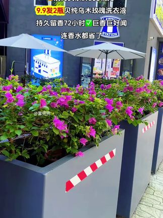 救命!贝纯乌木玫瑰洗衣液9.9两瓶,香到不用喷香水 再也不用纠结每天喷什么香水了!贝纯乌木玫瑰洗衣液9.9元直接发两瓶,洗完的衣服比喷了沙龙香还绝。 玫瑰的甜润先扑面而来,晾透后乌木的木质调慢慢出来,混着阳光味超治愈。穿一天身上还是淡淡的香,领口、袖口的污渍也能洗得干干净净,学生党、宝妈闭眼冲,这波血赚!@DOU+小助手 @DOU+上热门 #贝纯#贝纯洗衣液#洗衣液#洗护好物 #随时随地标记一下