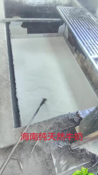 #纯手工豆腐制作 海南南纯天然牛奶