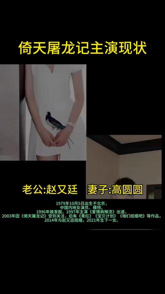#明星夫妻#演员 倚天屠龙记主演现任