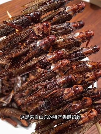 越嚼越香的#蚕蛹 虽然看着吓人 但是吃起来也是真香啊!平时用它追剧下酒解馋真的太过瘾了 #蚂蚱 #解馋#下酒菜