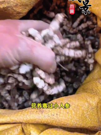 #优质农特产 #纯天然无添加 #绿色食品 宝塔菜种子下方小方车里
