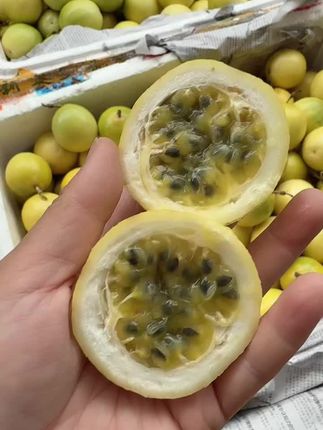 钦蜜9号大果特价