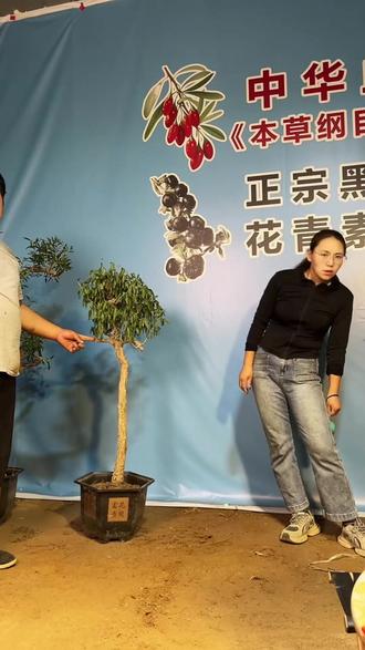 本草记载的中华血杞!还加了含花青素的黑枸杞