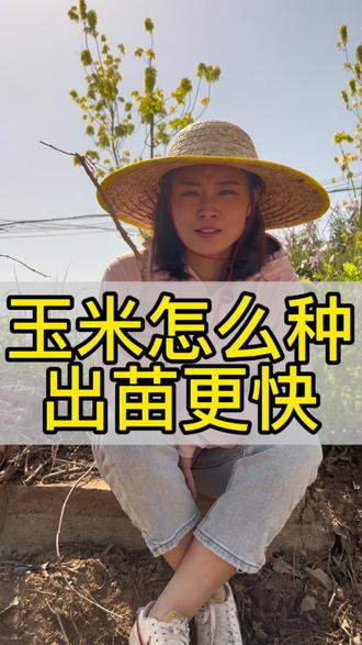 玉米怎么种出苗更快 #玉米种植 #蔬菜种植技巧 #三农流量扶持计划 #汉农笔记 #三农