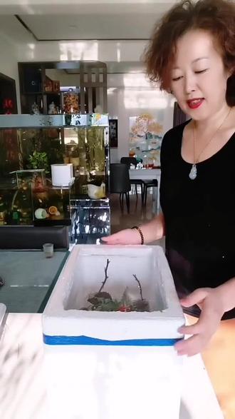 废旧泡沫箱改育苗盒子
家人们!泡沫箱+小纸杯育苗太香了~整齐干净、不烂根、移栽不伤苗,新手也能一次成功!春天种番茄辣椒生菜,阳台秒变小菜园,简单实用还好看~
#阳台种菜 #种菜小技巧 #家庭育苗 #新手种菜@DOU+小助手