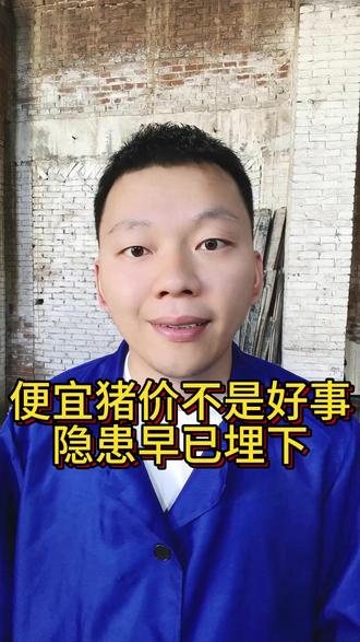 便宜猪价不是好事,隐患早已埋下! #养猪行情#猪价行情#养猪人不容易#所有养猪人