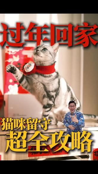 过回老家猫咪留守在家需要准备什么 #过年 #猫咪 #养宠经验分享