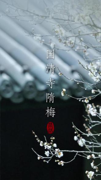 明春未渡我天真,总有人记得那个春 生长在佛门净地的隋梅,似乎比世间一切花木都有灵性
它走过一千四百回,寒来暑往
听过一千四百次,夜半钟声
寺里的僧侣年轻着老去、老了又年轻
上万次的梵唱超度了它一次又一次
于是枯木逢春重演了一回又一回
它的佝偻和苍老刻满了光阴的刻度
枝头上的花与花香是它循环往复的青春
身下的沟壑斑驳亦是它周而复始的新生
千百年沧桑巨变,而明春未渡我天真
它总在素白的季节,下一场名为春天的雪
或许,这就是隋朝的某个春天
公元589年的春不再四分五裂
持续300年的腥风血雨渗入大地
将神州再次联结一体
‘承前启后’一听就是个转瞬即逝的词
隋朝的春天只持续了37年
花瓣散落书卷和田间,生根发芽,扎根生长了千年
隋梅开了又谢,每一次的花开总有人记得 那个短暂的春天
#国清寺 #隋梅 #东方美学 #国清寺隋梅