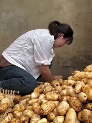 #新鲜天麻 #抖音美食推荐官 #天麻炖鸡 #滋补养生汤 #小草坝天麻