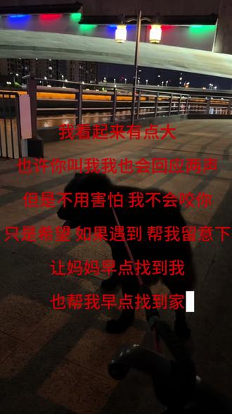 妈妈也很想快点找到你#狗 #寻狗 #宠物 #汪星人
