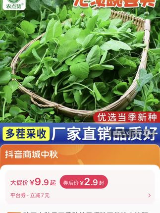 家里有地的,自己种些,想吃多少吃多少#蔬菜种子#农业种植 #豌豆尖