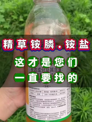 水花生,香附子,牛筋草等。荒地,田埂,果园通用1000毫升大瓶装,可打5亩地#精草铵膦铵盐 #果园清理#农业种植
