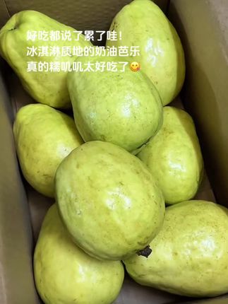 真的好吃我都说累了!!口感软软糯糯的。又香又甜~一口惊艳!就像吃冰淇淋一样!满满的维C!!一口下去满口芭乐香!巨巨巨好吃!吃一次就爱上了!#芭乐#红心芭乐 #奶油芭乐#新鲜应季水果 #口感特别好
