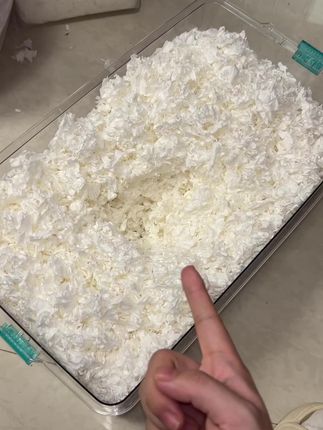 #纸棉垫料 #仓鼠日常 #萌宠 #鼠鼠用品