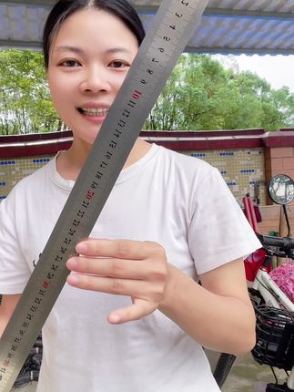 不锈钢直尺#强烈推荐 #便宜好物 #好货推荐 #精品推荐 #实用工具