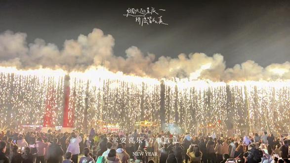 2025年过去了,我很怀念它……#花式闹元宵 #非遗花火之夜 #焰火之约 #人山人海太热闹了