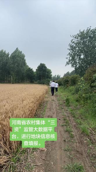 三资资源清查