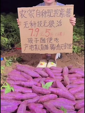 #优质农产品 #口感特别好 #软糯香甜 #F【沙地紫薯】新鲜红薯番薯地瓜香甜粉大中小果带箱5斤(坏瓜包赔)