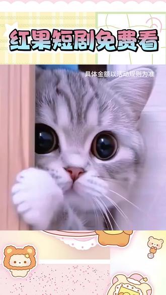 红果短剧,免费看#红果短剧#实力宠粉