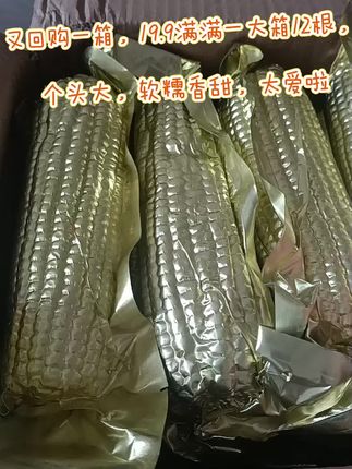 无数回购的东北黄糯玉米#口感特别好 #特色农产品 #真的很好吃