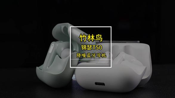 降噪蓝牙耳机推荐 百元价位竹林鸟锦瑟T50。#竹林鸟锦瑟 #降噪耳机 #蓝牙耳机 #性价比耳机