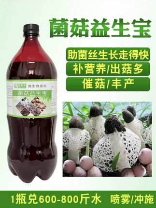 竹荪菌丝弱不出菇菌蛋小怎么办?喷菌菇益生宝,助菌丝生长走的快,催菇多出菇菌蛋大。