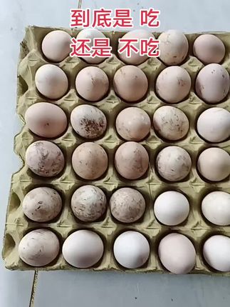 亲家母送的土鸡蛋,到底是吃还是不吃?#鸡蛋  #农村土鸡蛋
