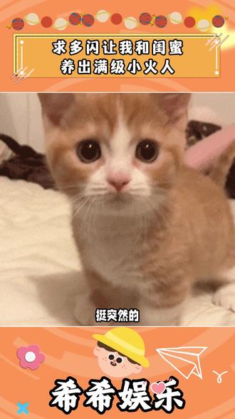 求多闪让我和闺蜜养出满级小火人 #多闪app #多闪