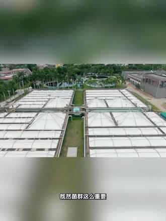 现代人的肠道菌群是怎样被破坏的 现代人的肠道菌群是怎样被破坏的#肠道菌群 #肠菌移植 #肠道微生态 #肠道 #肠道健康