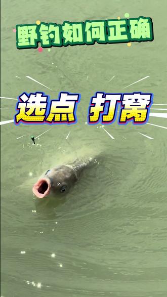 野钓如何选点打窝?#钓鱼 #钓鱼技巧