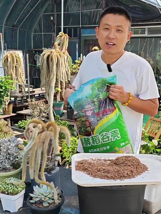 发酵稻谷壳改良土壤,让田园土很透气! #家庭种植 #发酵稻谷壳 #稻谷壳 #养花小知识