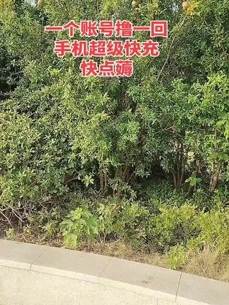 老铁们赶快来,一人撸一回哦,快冲呀#数据线#充电器#爆款热卖中#快充