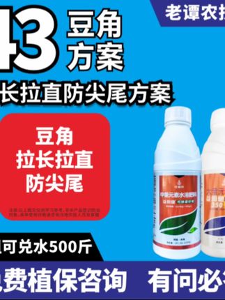 #豆角 #农业种植 #豆角种植 老谭农技43豆角拉长拉直防尖尾方案豆角四季豆老鼠尾钙镁硼锌铁#豆角高产技术 #三农