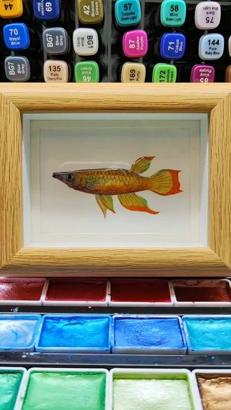 珠光水彩画黄金鳉鱼,热带鱼,观赏鱼。#原创手绘 #绘画过程 #画画教程 #水彩 #画画